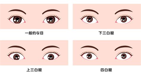 桃花眼 三白眼|桃花眼の特徴・診断方法・なり方やメイク方法